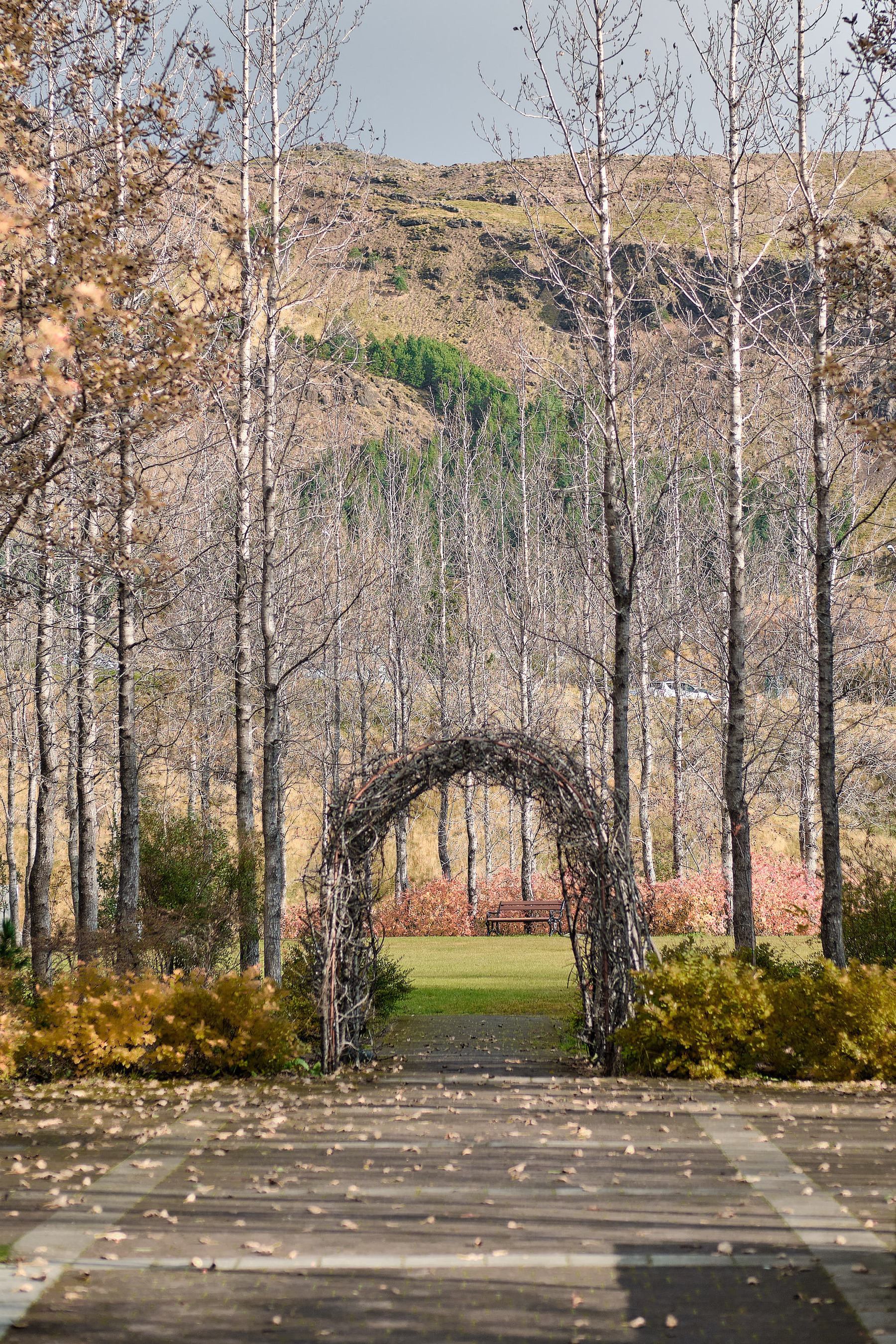 A park bench is visible through a garden arch. Surrounded by fallen autumn leaves.